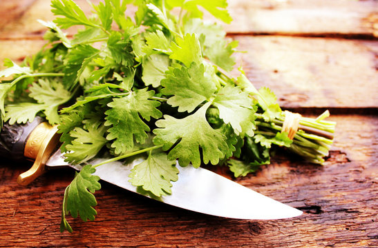 Bunch of coriander leaves on a wooden table 