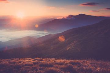 Beau paysage dans les montagnes au lever du soleil. Vue sur les collines brumeuses couvertes de forêt. Image filtrée : effet rétro traité en croix.