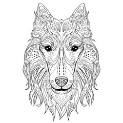 Ethnic decorative doodle head of dog. Coloring book page with collie dog for adults. Vector illustration.