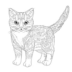 Ethnic decorative doodle cat. Coloring book page with kitten for adults. Vector illustration.