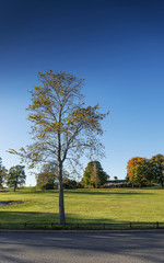 kaivopuisto city park in helsinki finland on sunny day