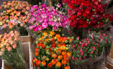 Fototapeta na wymiar Flowers on sale in Utrecht, Netherlands