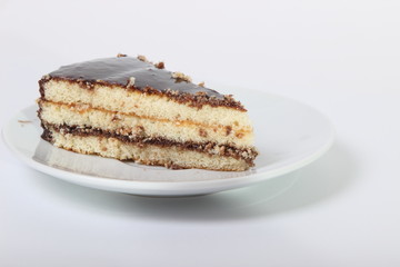 piece of delicious cake drizzled with chocolate