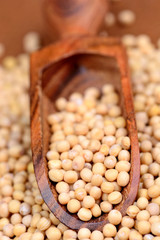 Mustard seeds in a scoop