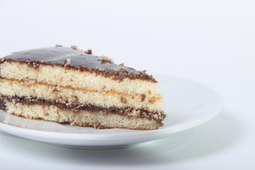 piece of delicious cake drizzled with chocolate