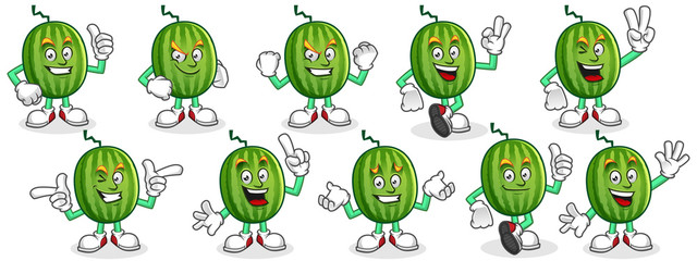 Watermelon mascot set, Watermelon character pack, vector of Watermelon cartoon.