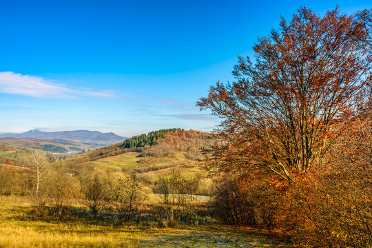 Autumn mountain landscape. trees and meadow strewn with foliage in the foreground. small village can be seen away in the mountains
