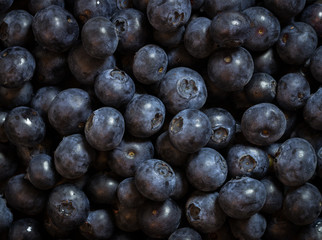 Blueberry - Fresh Blueberries close up - Organic Superfood