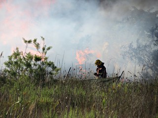 Fototapeta premium Bombero en un fuego en el campo / Firefighter in a fire in the field