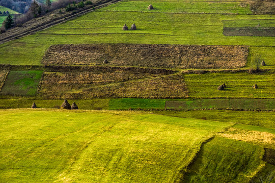 green agricultural field with haystack on hillside in mountains in morning light