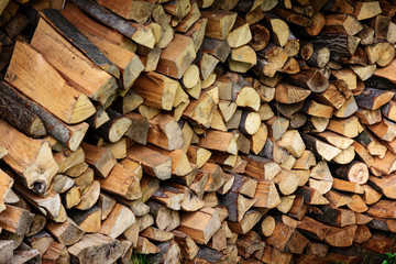 Firewood. Store firewood. Wood burned as fuel.