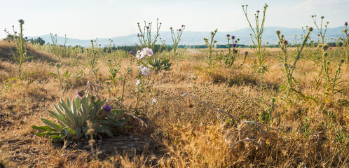 Beautiful landscape in Sandikli, Turkey