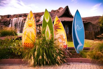 Colorful surfboards. - 126013112