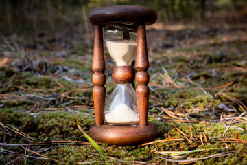 hourglass in forest