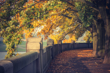 Fototapeta Autumn landscape, Krakow, Poland, Vistula river boulevards park obraz