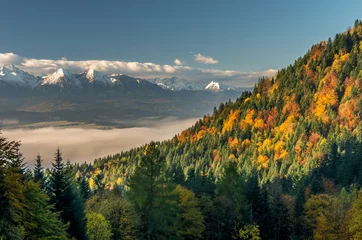 Türaufkleber Beautiful autumn panorama over colorful autumn Pieniny mountains to snowy Tatra mountains, Poland © tomeyk
