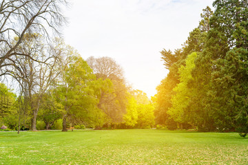 Beautiful park scene in public park with green grass field, green tree plant and a partly cloudy blue sky