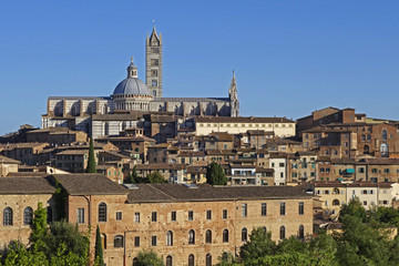 Blick auf den Dom von Siena