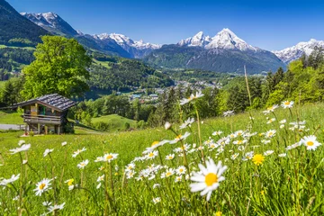 Fototapete Frühling Alpenlandschaft mit uriger Berghütte im Frühling