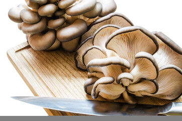 cooking the mushrooms