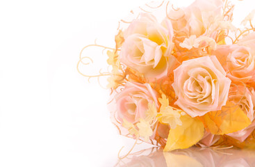 beautiful roses, isolated on the white background.