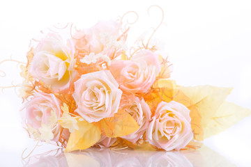 beautiful roses, isolated on the white background.