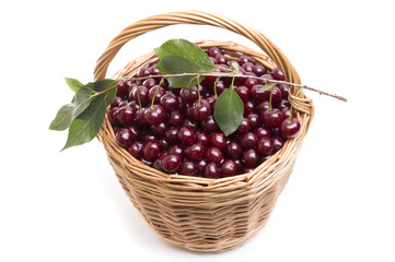 Basket full of fresh red cherry on a white background