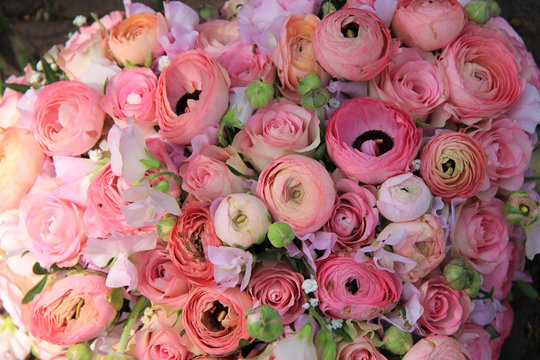 Fototapeta Pink roses and ranunculus bridal bouquet