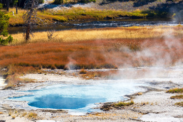 Steaming Pool in Yellowstone