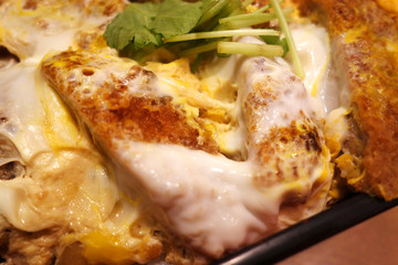 ひれかつ丼 