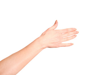 Woman open hand with french manicure