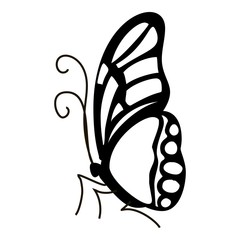 Contour butterfly icon. Simple illustration of contour butterfly vector icon for web