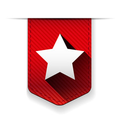 Star ribbon insignia vector