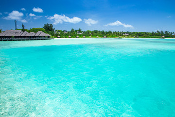Naklejka premium sea in Maldives