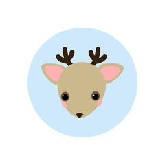 Deer vector illustration
