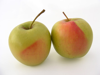 birbirinden güzel iki yeşil elma 