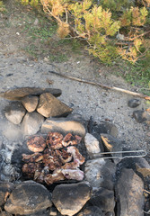 Meat grilled in the woods