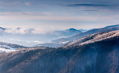 Winter morning landscape in mountain. View on snow-covered  hills and trees.