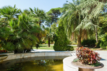 Pond in a subtropical Park