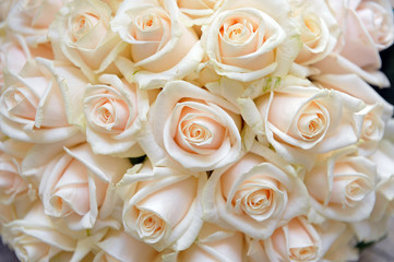 Bouquet sposa ripreso dall'alto - rose bianche e rosa