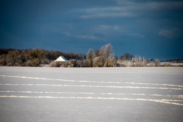Fototapeta premium cold morning in the field in winter