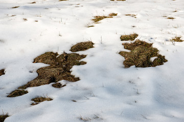 cold morning in the field in winter at countryside