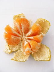 soyulmuş dilimli mandalina 