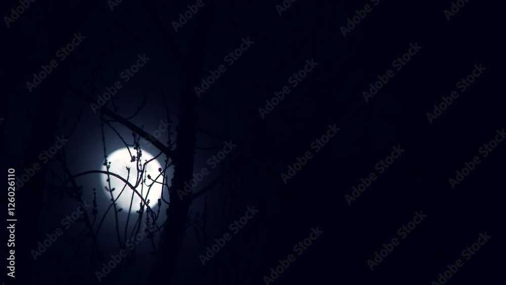 Wall mural blue moon rising behind winter tree on dark and cloudy night.