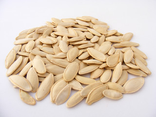 logo ve web  tasarım için kabak çekirdeği resimleri 4