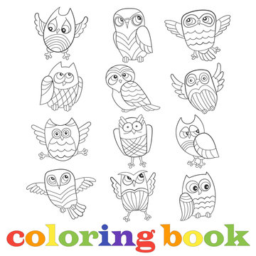 Set of funny cartoon owls, contour image on a white background, the coloring book