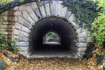Inscope tunnel Central Park, New York City