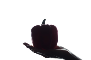 Red peppers on a hand on white background - silhouette