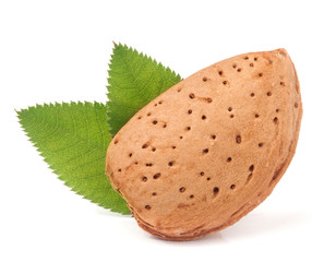 almond unpeeled with leaf isolated on white background