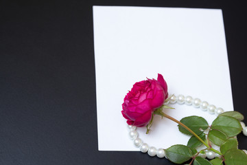 Beautiful red rose with pearls on blank white sheet paper